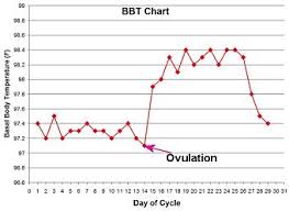 fertility charting