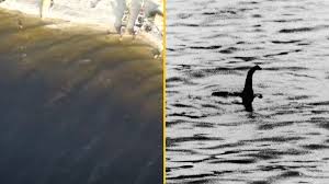Loch Ness Monster' caught on drone footage by wild camper