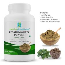 Image result for Pedalium murex