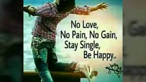 No Love No Pain No Gain Stay Single Be Happy Rajesh Shayari Youtube
