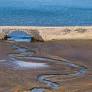 Severe Drought and Heatwave Grip Germany with Widespread Environmental and Economic Strain