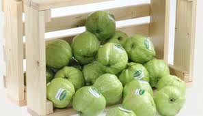 Mengalami masalah dalam memotong dan menggerinda secara bersamaan? Cara Benar Memotong Buah Jambu Kristal Cantik Tempo Co