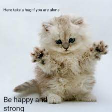 Virtual Hug Memes