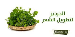 الجرجير لتطويل الشعر