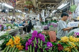 We did not find results for: Blooming Gorgeous Inside Bangkok S Flower Market