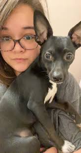 Let's play a game! It's called why is my dog mad at me?" I'll go first.  *Because I wouldn't let him sit