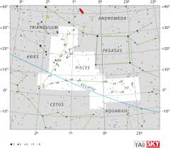 Amazon advertising find, attract, and Pisces Pises Center Of Science P2k Um Surabaya Ac Id