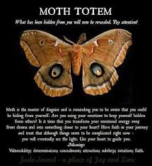 Pin By Alamea Igaki Aribon On Insects Animal Totem Spirit Guides Spirit Animal Meaning Animal Symbolism