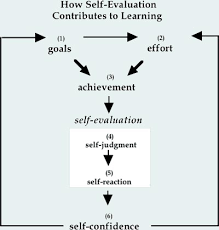 Self Evaluation A Successful Tool For Learning Science