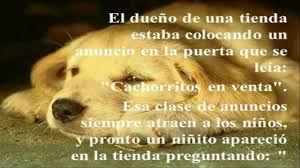 Enseñar el valor de la amistad. Reflexion La Verdadera Amistad Youtube