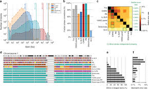 Specialized in aluminium & besi logam. Multi Platform Discovery Of Haplotype Resolved Structural Variation In Human Genomes Nature Communications