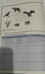 Kunci jawaban dan soal uas bahasa indonesia kelas 3 sd semester 2, persiapan ukk dan pat. Paket Ipa Kelas 7 Semester 2 Halaman 38 Pliss Bantu Brainly Co Id