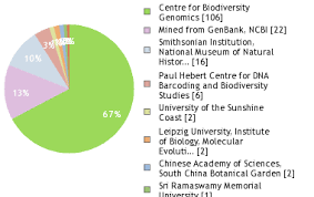 Image result for Pavetta gerstneri