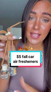 Fall Scented Car Air Fresheners under $5