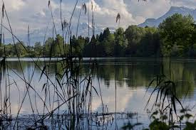 Fra wikipedia, den gratis encyklopædi. 6 Laufrunden In Salzburg Fraulein Flora