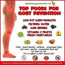 Pin By ʍ I ɕ հ E ʆ ʆ E On Health Gout Recipes Gout Prevention Gout Diet