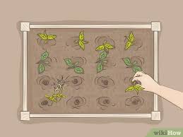 Baiklah demi memuaskan penasaran kita, berikut materinya. Cara Memulai Kebun Organik 14 Langkah Dengan Gambar Wikihow