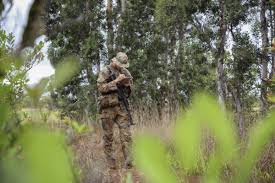 EIB/ESB: The Few, The Proud