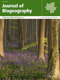 Image result for Tridactyle scottellii