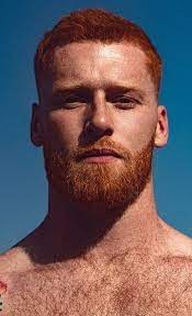 Pin On Ginger Snap