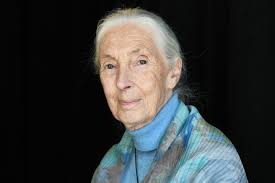 Jane Goodall passes away at 91