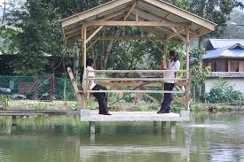 Tutvu teiste võimalustega linnas hulu langat ja selle ümbruses. Fish Pond Picture Of Santika Hulu Langat Kampung Jawa Tripadvisor