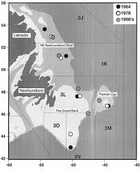 bathymetric chart of the ne newfoundland shelf grand bank