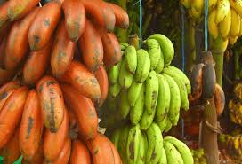 You may copy, distribute, display, download and otherwise freely deal with this publication for any purpose. What Are The Important Banana Varieties In India Greenstories