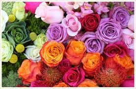 What are the colors of flowers. Flower Color Identification Guide Ftd Com