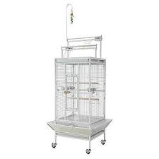 34 Ideas Bird Cage Cockatiel Parakeets House Modern