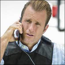 Danny Williams : personnage de la série