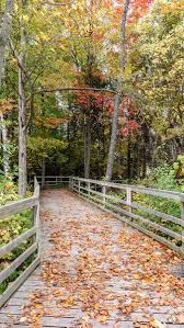 Island Lake Conservation Area: Hiking the Vicki Barron Lakeside Trail