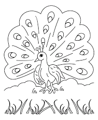 Free Printable Peacock Coloring Pages For Kids Peacock Coloring Pages Coloring Pages Bird Coloring Pages