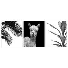 Furniture Home Furnishings Find Your Inspiration Ikea Art Wall Art