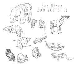 Check out our san diego zoo selection for the very best in unique or custom, handmade pieces from our shops. San Diego Zoo Sketches By Shinragod On Deviantart