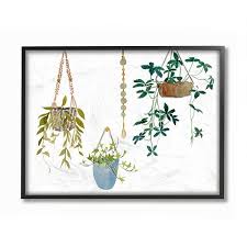 4.2 out of 5 stars 335. Stupell Home Decor Hanging Plant Vines Framed Wall Art