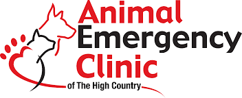 Check spelling or type a new query. Animal Emergency Clinic Pet Care Clinic Ridge Runner Pet Lodging Welcome Boonevet Net