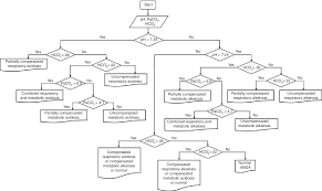 Image result for ABG Interpretation