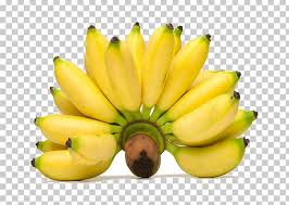 Stir the mashed banana and raspberries through until combined. Pisang Goreng Lady Finger Banana Fritter Saba Banana Png Clipart Banana Banana Family Bananas Cavendish Banana