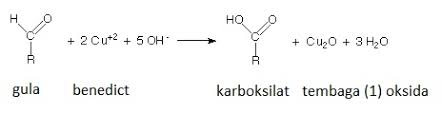 Check spelling or type a new query. Uji Benedict Info Pendidikan Dan Biologi