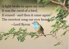 The Carol Of A Bird Could Be Literal But It Could Also Be A Metaphor For The Voice Of The Lady He Loved Ho Poetry Words Inspirational Poems Art Quotes Funny