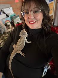 First week with a bearded dragon pet