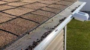 These brands offer clear guttering for all roofs & housing needs. Best Gutter Guards Consumer Reports Reviews 2020