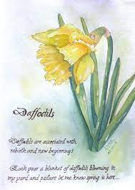 Watercolor Daffodil Symbol Of Spring Daffodils Watercolor Tulips Flower Painting