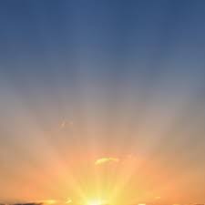 Which Wings Of Fire Tribe Are You In In 2020 Wings Of Fire Tribe Food Tribe