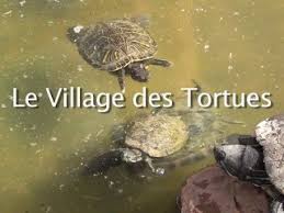 Force et direction du vent, taux d'humidité, température et niveau de précipitations. Meteo Le Village Des Tortues Previsions Meteo Heure Par Heure Aujourd Hui M6 Meteo
