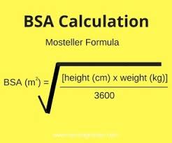 Body Mass Index And Body Surface Area Whats The Difference