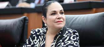La iniciativa apunta a obligar al presidente de la república a. Monica Fernandez Nueva Presidenta Del Senado Aristegui Noticias