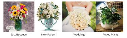 Apply the 800flower promo code at the time of checkout. Coupons For Ziegfield Florist Maple Shade Nj Florists