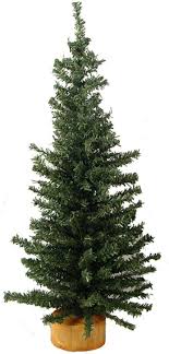 They sell their trees by the type, rather than by the height which is a great idea. Vickerman Mini Pine Tree With Wood Base Green Tabletop Tree 24 Inch Home Kitchen Seasonal Decor Svanimal Com